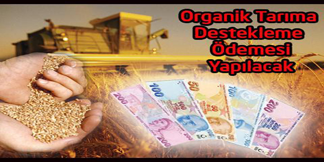 Organik Tarıma Destekleme Ödemesi Yapılacak