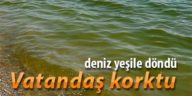 Antalya da deniz yeşile döndü