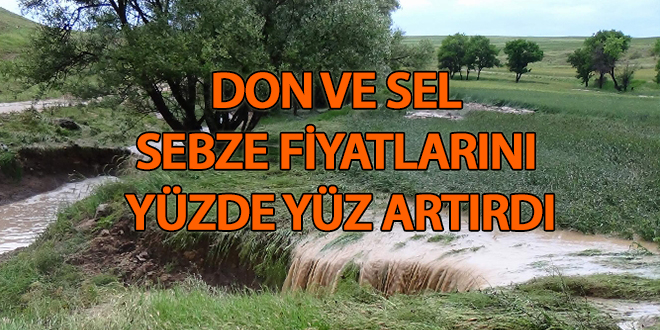 Don ve sel sebze fiyatlarını yüzde yüz artırdı