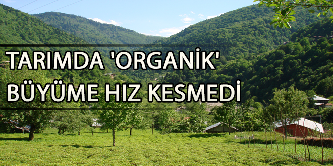 Tarımda organik büyüme hız kesmedi