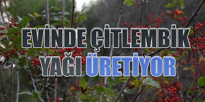 Evinde çitlembik yağı üretiyor