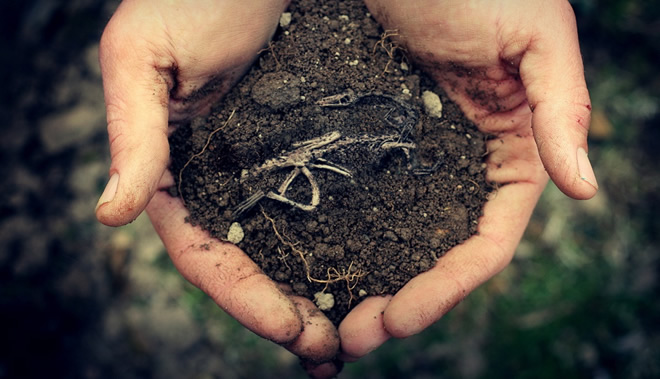 TOPRAK ANALİZİ İÇİN SON 5 GÜN