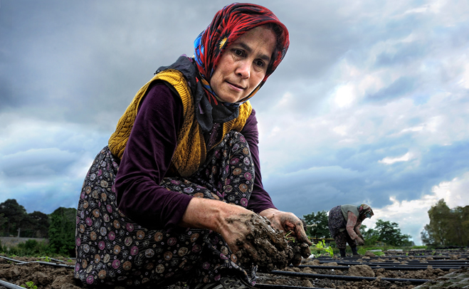 TARIMIN YÜKÜNÜ KADINLAR ÇEKİYOR
