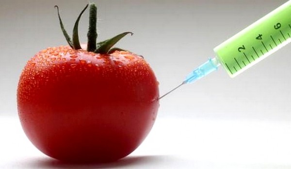 AVRUPA GDO YA KARŞI BİRLEŞİYOR