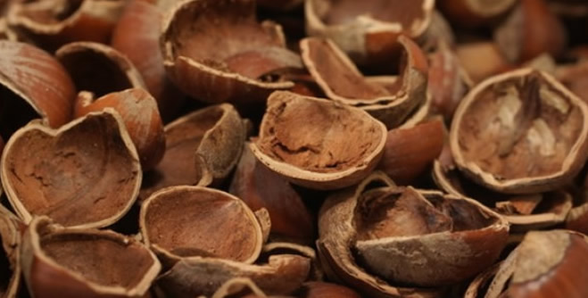 FINDIK KABUĞUNDAN GÜBRE