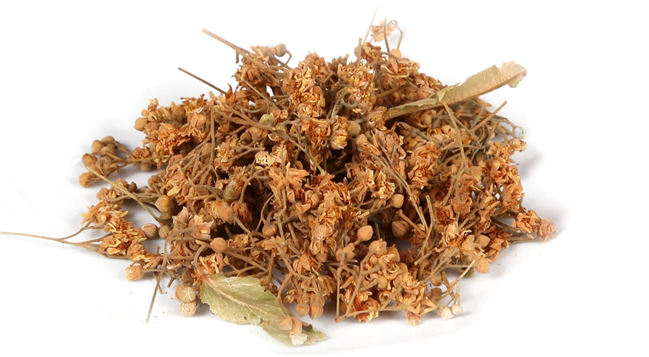 IHLAMUR FİYATI EL YAKIYOR