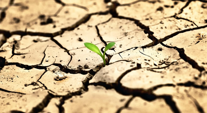 SU FAKİRİ OLABİLİRİZ