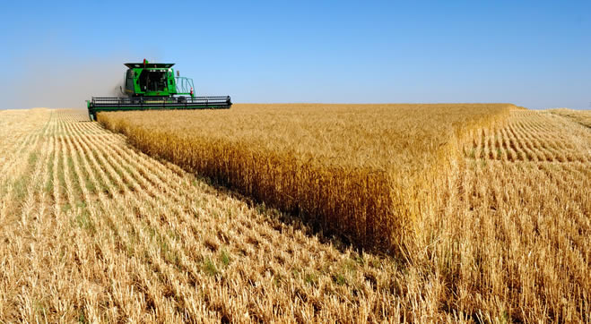 SÜRDÜRÜLEBİLİR TARIM İLE MALİYETLER DÜŞÜYOR