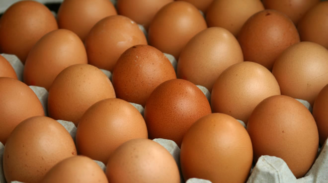 YUMURTA FİYATLARINDA İSTİKRAR SAĞLANAMIYOR