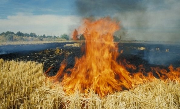 ANIZ YAKANLARA CEZA KESİLİYOR