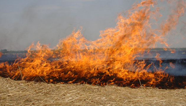 ANIZ YAKANLARA DESTEKLEME VERİLMEYECEK