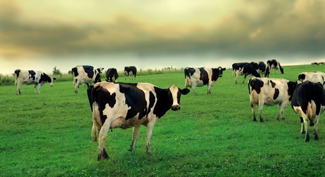 OTLAK SENSÖRÜ ÇİFTÇİLERİN YENİ GÖZDESİ