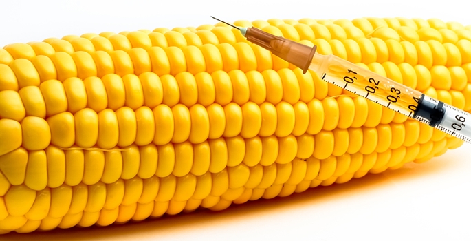 GDO YASAĞI AVRUPA PARLAMENTOSU NDA REDDEDİLDİ