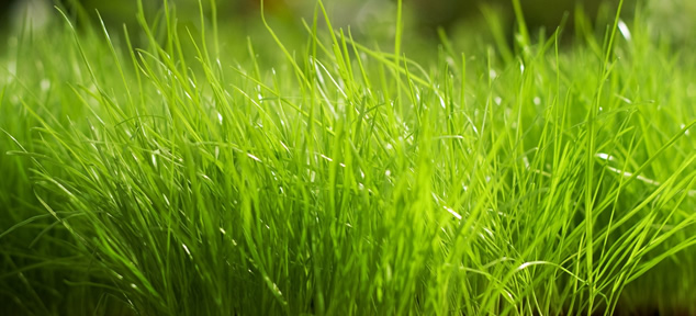 YEŞİL ENERJİ DÖNEMİ BAŞLIYOR