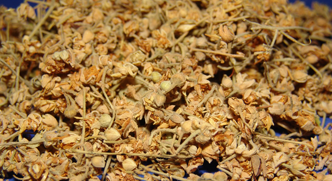 IHLAMURDA İTHALAT HAMLESİ