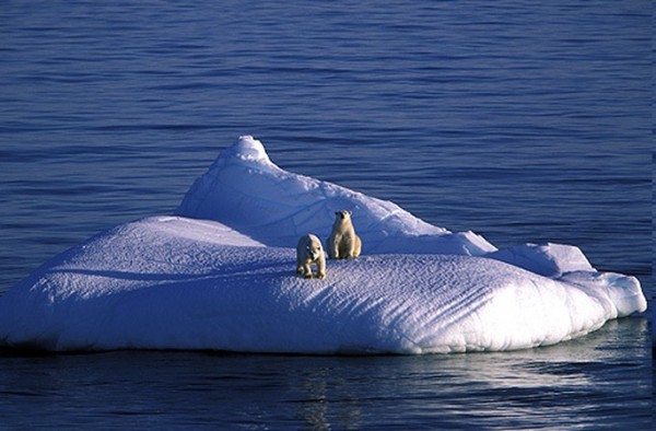 İŞTE KÜRESEL ISINMANIN GELDİĞİ NOKTA