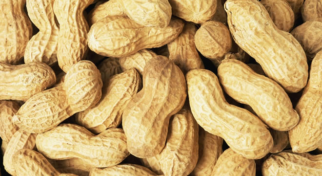 YENİ ALTERNATİF ÜRÜN YÜZLERİ GÜLDÜRÜYOR