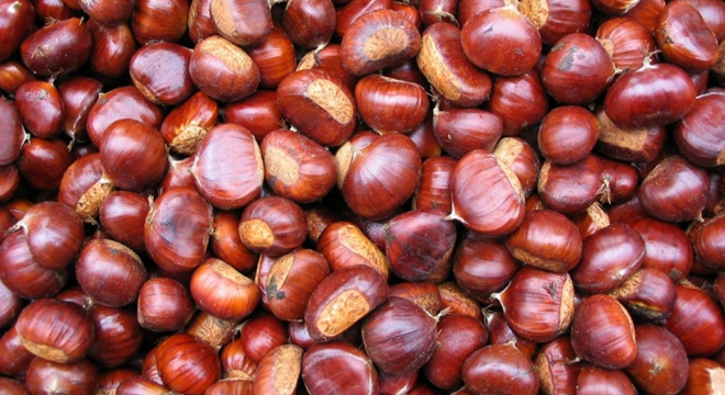 BAKANLIK COĞRAFİ İŞARETE DESTEK VERİYOR