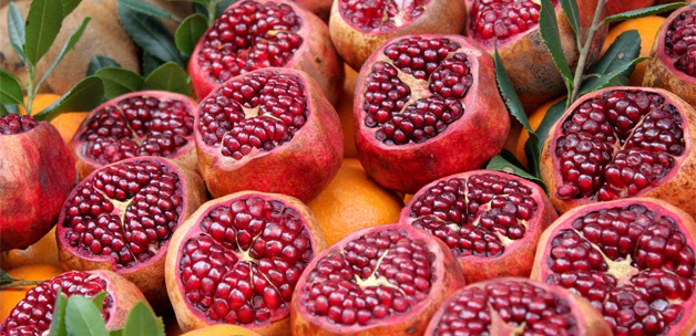 ALMANYA YA TÜRK NARI İHRACATI