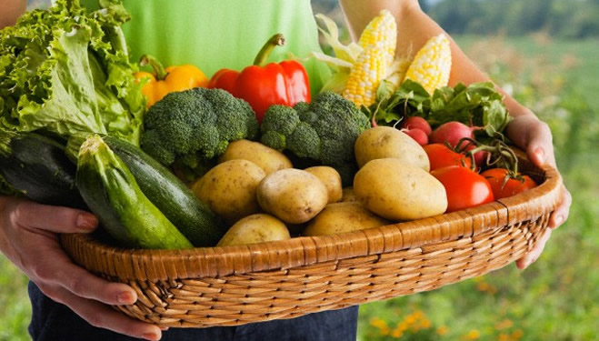 NE ORGANİK NEDEN ORGANİK