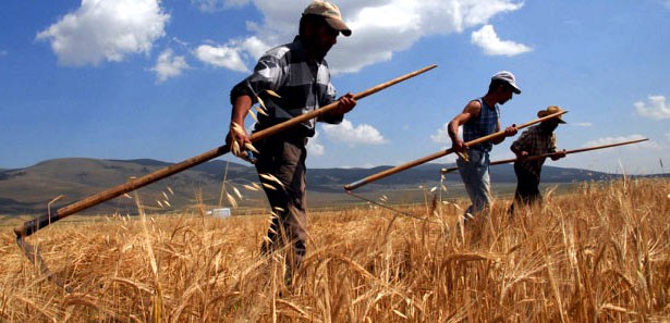 ÇİFTÇİLERE DESTEK UYARISI