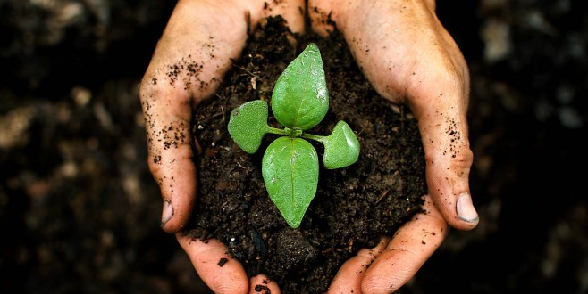 TOPRAĞI KİRLETMENİN CEZASI 2 MİLYON TL