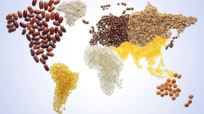 16 EKİM DÜNYA GIDA GÜNÜ