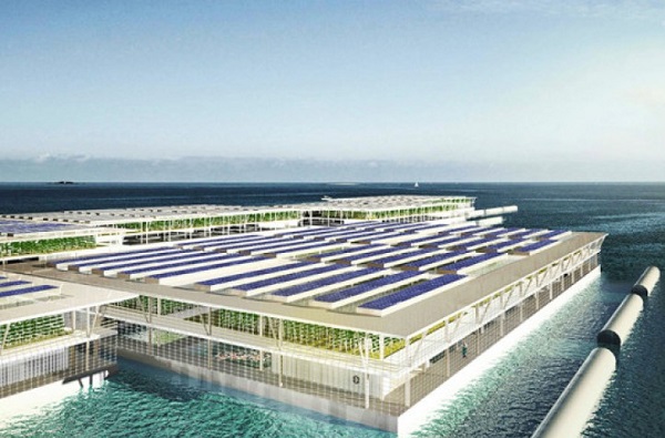 YÜZEN ÇİFTLİKLER GIDADA GELECEK VADEDİYOR