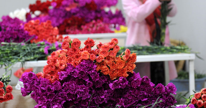 KRİZ BÜYÜYOR ÇİÇEKLER SINIRDAN GERİ DÖNÜYOR