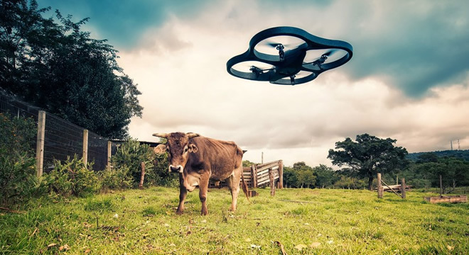 İNSANSIZ HAVA ARAÇLARI HAYVANLAR İÇİN ÇALIŞIYOR