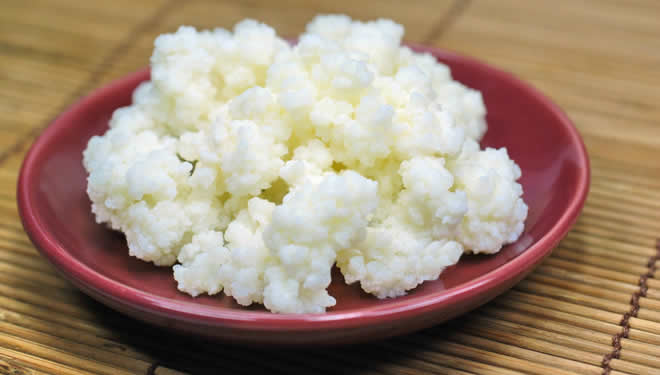 MUCİZE BESİN KEFİR TÜRKİYE DE ÜRETİLİYOR DÜNYA YA SATILIYOR