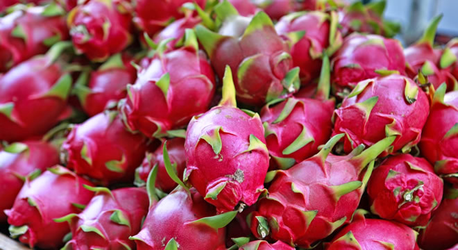 EJDER MEYVESİ TÜRK PAZARINDAKİ YERİNİ ALIYOR