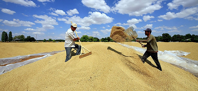 ÇİFTÇİ YENİ SİSTEMDEN ÇOK MEMNUN