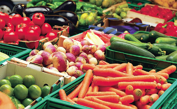 MEYVE VE SEBZEDE İHRACAT ÇIKMAZI