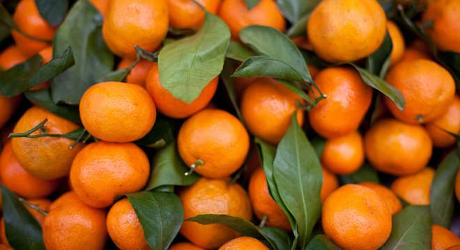 ÜRETİCİ DEĞİL MARKETLER KAZANIYOR