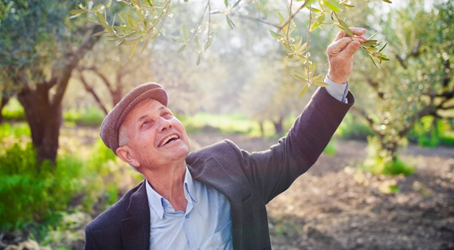 TARIM KREDİ KOOPERATİFLERİ KATILIM BANKACILIĞI YAPACAK