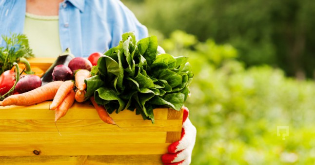 ORGANİK TARIMDA PAZAR SIKINTISI