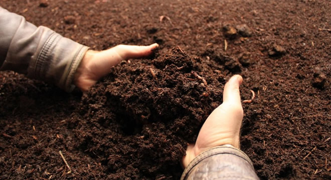 SOLUCANLAR ÇALIŞIYOR ONLAR KAZANIYORLAR