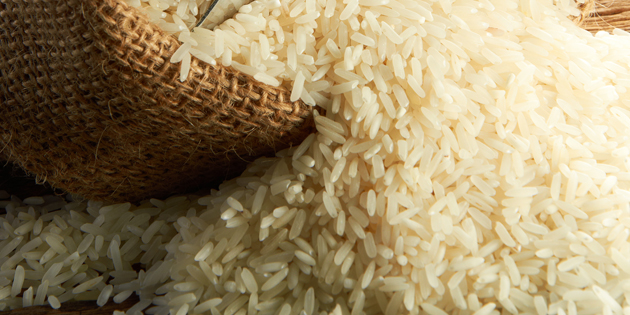 100 BİN TON GDO LU PİRİNCİ MEHMETÇİĞE YEDİRDİLER