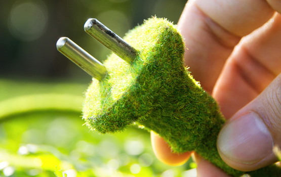 Tarladaki Bitkilerden Elektrik Enerjisi Üretiliyor