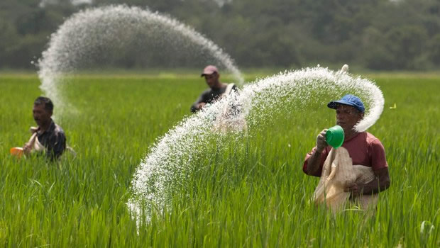 AŞIRI GÜBRELEME TOPRAĞA ZARAR VERİYOR