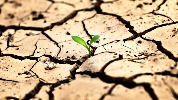 TÜRKİYE NİN YARISI ÇÖLLEŞME RİSKİ ALTINDA