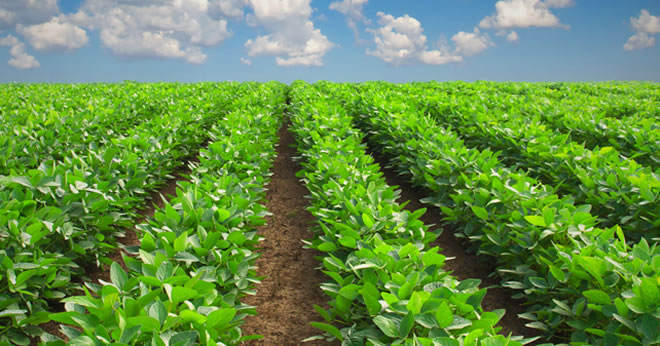 AVRUPA DA TARIM HIZLA GERİLİYOR