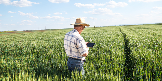 YENİ SİSTEMLE BİRLİKTE TARIM ARAZİLERİ ON LİNE OLACAK