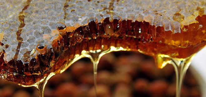 ÜRETİMİNDE DÜNYA İKİNCİSİYİZ AMA SAHTESİNİ YİYORUZ