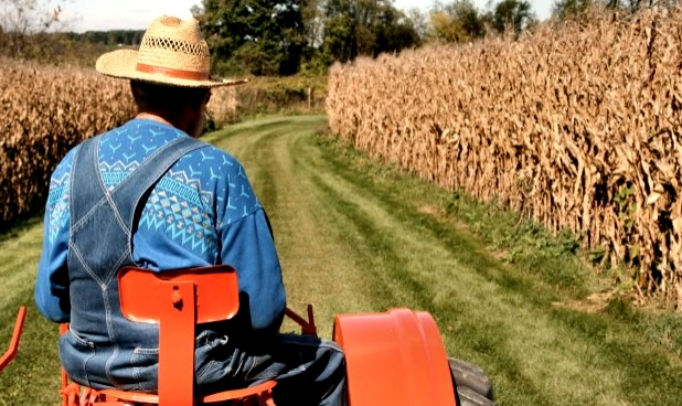 ÇİFTÇİYE DEKAR BAŞINA 100 LİRA DESTEK VERİLECEK