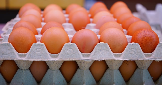 YUMURTA SATIŞINDA YENİ DÖNEM 20 ARALIK TA BAŞLIYOR