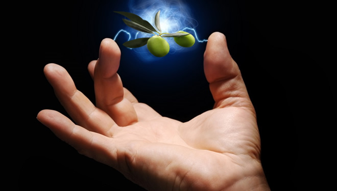 ZEYTİNYAĞI ATIKLARI ARTIK ELEKTRİĞE DÖNÜŞÜYOR