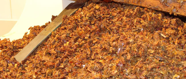 ARILARDAN MUCİZEVİ DOĞAL ANTİOKSİDAN