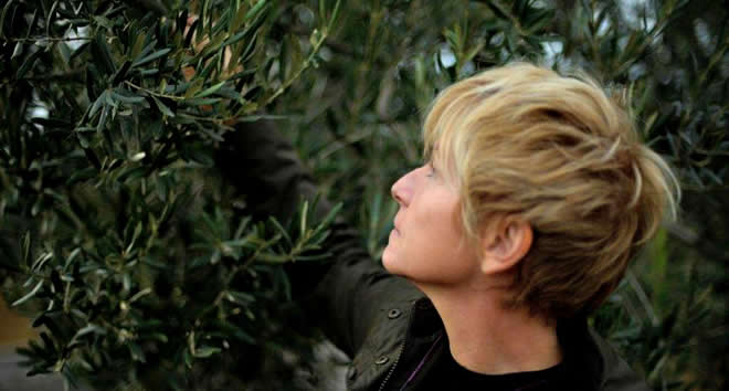 ZEYTİNLİĞİ YOK FABRİKASI YOK AMA ZEYTİNYAĞI ÜRETİYOR